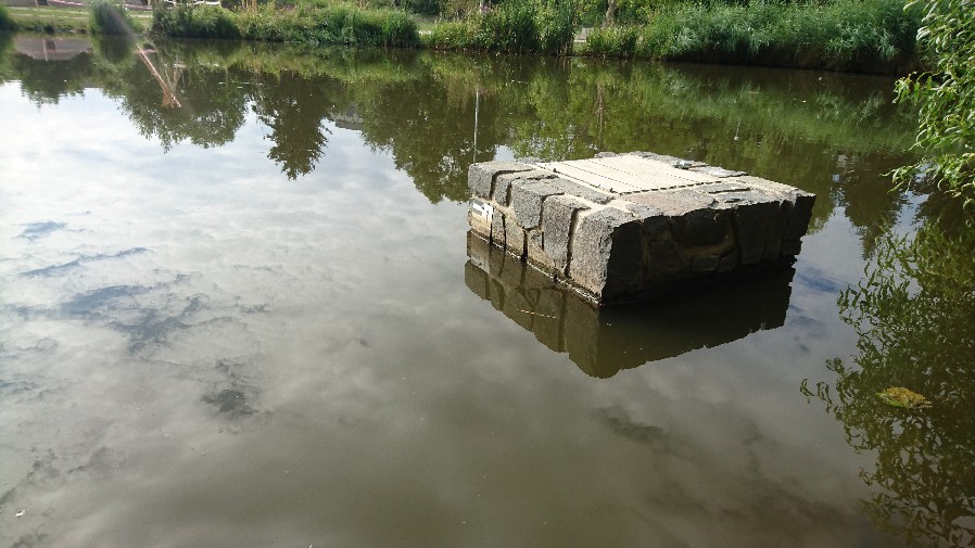 Obrázek