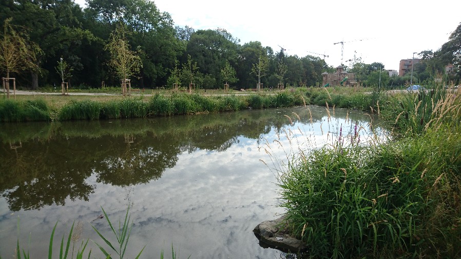 Obrázek