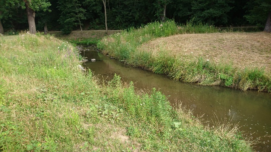 Obrázek