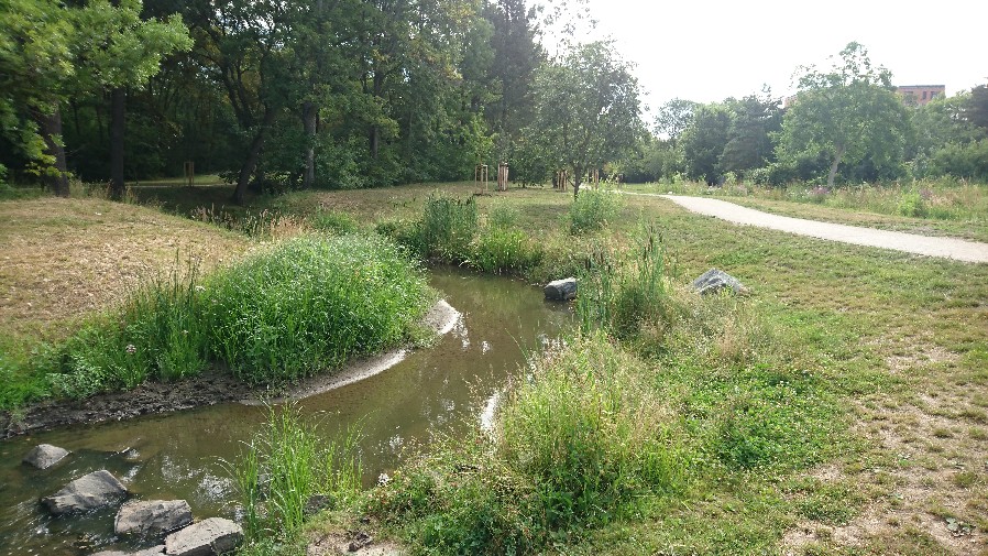 Obrázek