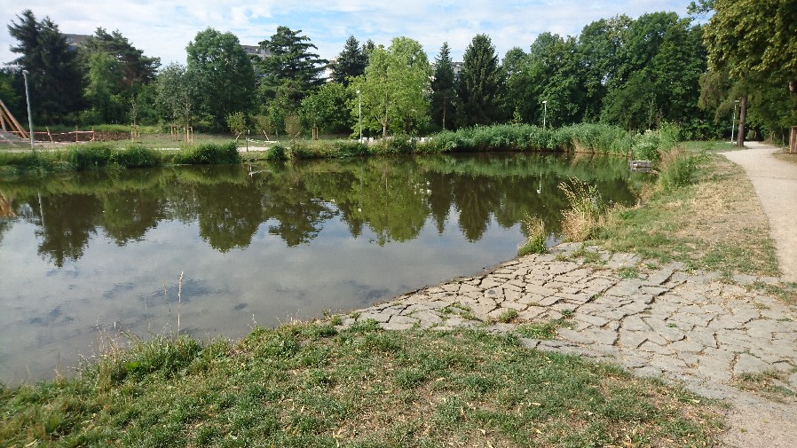 Obrázek