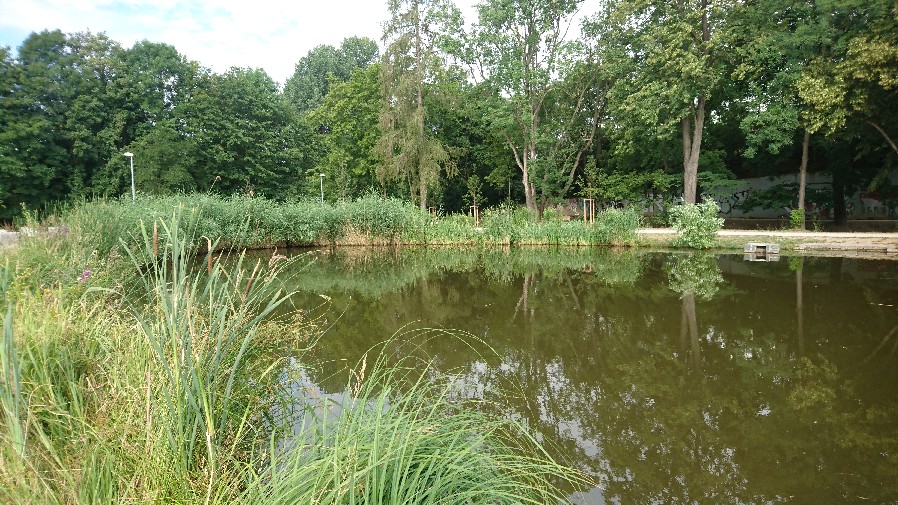 Obrázek