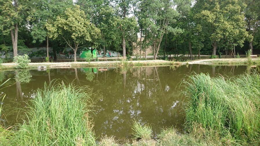 Obrázek