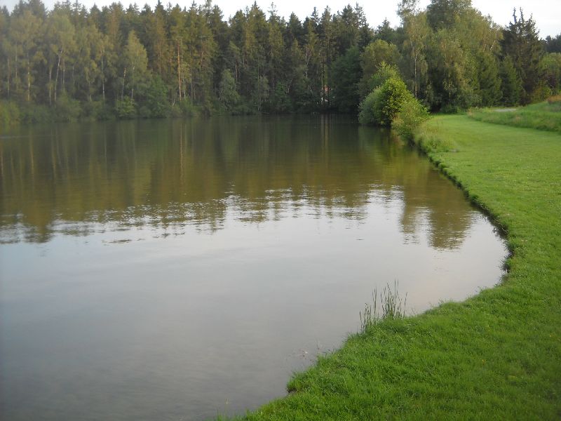 Obrázek
